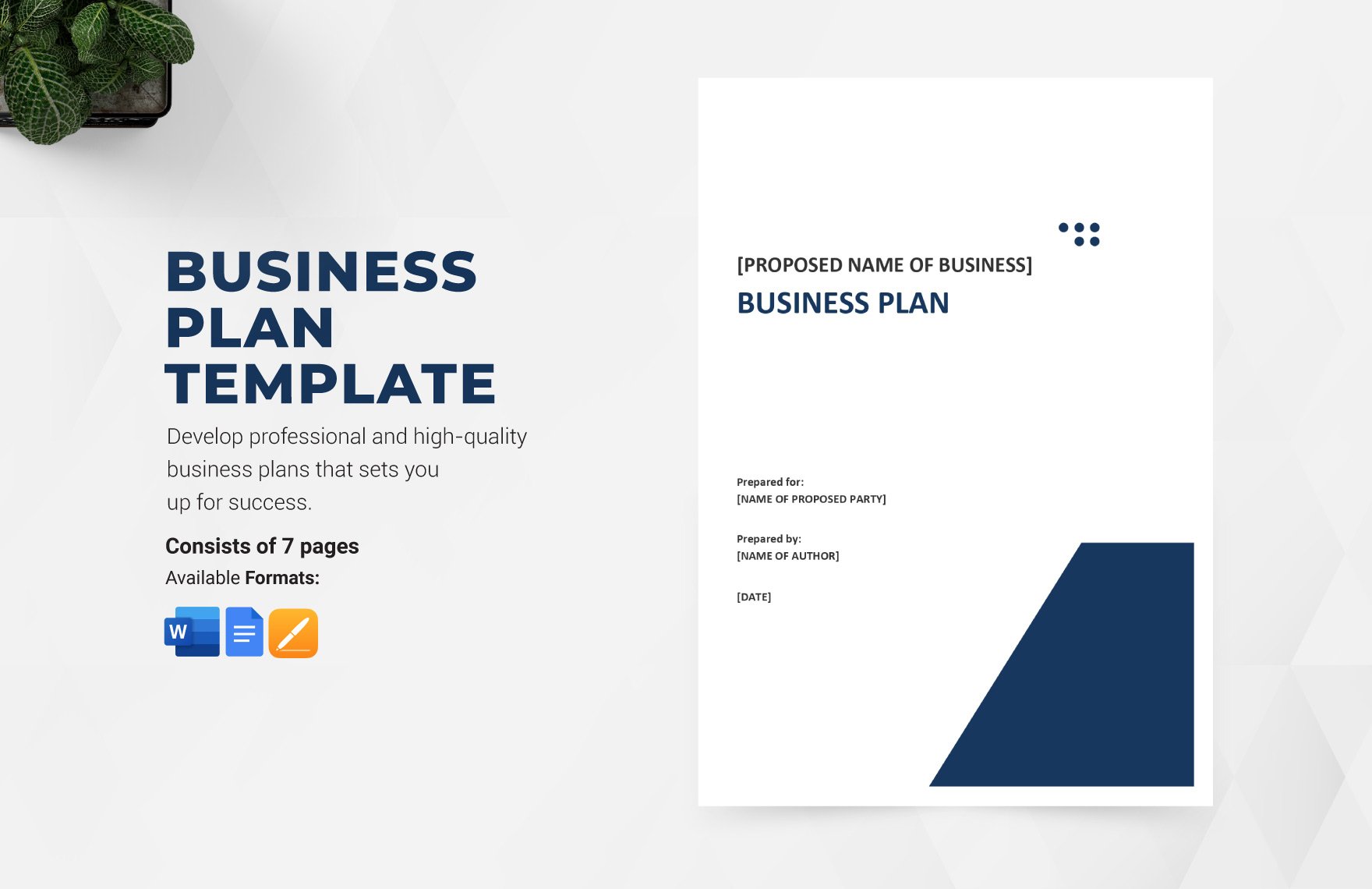 Business Plan Template & Guide